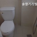 솔향기리빙텔