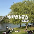 CU 관악국회단지점 | 양화한강공원 피크닉 장소 명당자리 추천 주차 주말 방문 꿀팁