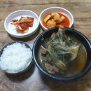 일등해장국 티스토리