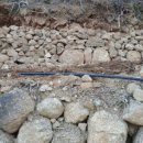 장정농장 이미지