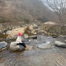 운장산자연휴양림 | [진안 여행] 운장산 자연휴양림 연립동 물봉선 2박 3일 예약 숙박 후기 객실 장단점 비교, 숙박꿀팁...