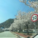 괴강관광농원캠핑장 이미지