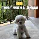 230055 | 프라우드 푸 파 무앙 치앙마이 애견동반 호텔 럭셔리 스위트 룸 후기