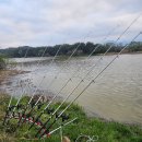 보성강6 | 전남 곡성 보성강 장어낚시 결과(4월5일)