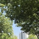 막창도둑지산점 이미지