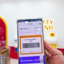 제주 헬로키티 아일랜드 박물관 할인 예약 제주도 실내 관광지 아이와 갈만한곳
