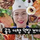 공주-44 네이버블로그