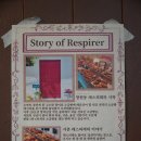 서촌목장 | [서촌 카페 추천] 레스피레베이커리 | 서촌 소금빵 경복궁역 카페추천 소금빵 찐후기