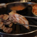 서울특별식당 이미지