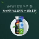 MS플러스 이미지