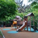 화왕산자연휴양림(창녕) 이미지