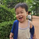 한스유치원 | 남대문 아동복 쇼핑 후기 여름 세일 그로우비 보니토 앤드버터 슈슈샤샤 외