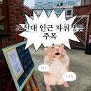 온 : 따뜻한 | 광주 조선대 후문 살레시오수녀회 &#39;엄마의 집밥&#39; 따뜻한 한 끼 먹고 온 후기