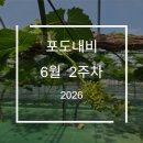 가온적산