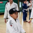 BD 주짓수 이미지