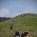 추장민박 | [공지][OG 체험플러스 후기] 생태문화예술캠프 프로젝트 in 굴업도