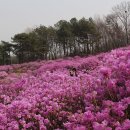 (주)효성 안양공장 이미지