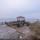 현포그린하우스 이미지