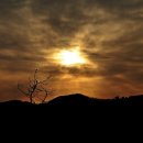 도곡낚시터 이미지