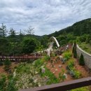 남양주 아이와 가볼만한곳 | 물맑음수목원 반딧불이 숲산책 2026 후기