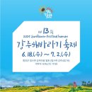 해바라기야 반가워 수십만 송이가 기다리는 해바라기 명소 이미지