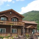 섬진강 솔밭이 보이는 풍경 이미지