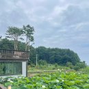 하하팜스테이 | 강원도 양양 카페추천! 프라이빗하게 즐길 수 있는 티 코스 '하하팜스테이'