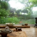 보임예다원 이미지