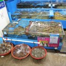 우성수산 이미지