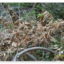 고비농장 이미지