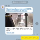 곤니찌와 일본어 (시작) | 곤니찌와 니혼!
