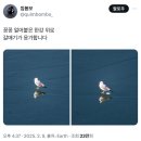 위로