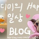 글라스미렌즈미 의정부행복로점 네이버블로그