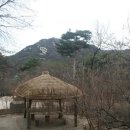 카메라사랑 이미지