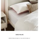 미엘 갤러리 이미지