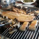 도림장어 이미지