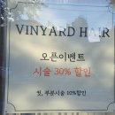 빈야드헤어