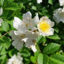 흰여울마을 안내센터(2층) | 흰여울문화마을 부산 영도 바다뷰 카페 가볼만한곳 흰여울길 해녀촌