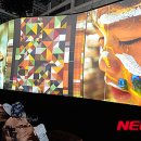 아시아의 초상 : Graceful Colours 이미지