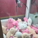 뽑아봅세 이미지