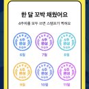 노엘마켓