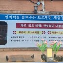 아하데이스파 흥동점