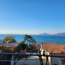 아라힐3 이미지