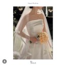 결혼준비#09_분위기 최고 &#39;마이보케 스냅&#39; | 더링크호텔 가든홀 아이폰 스냅 계약 찐 후기🌷