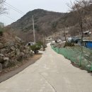 렛츠고강화캠핑 | [내돈내산] 인천 강화도 렛츠고강화캠핑장 2박 3일 캠핑 후기