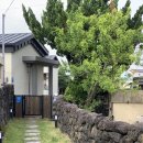 협재45m | 제주 에어비앤비:))독채펜션 협재45m(내돈내산후기)