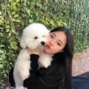 루체인알티스 이미지