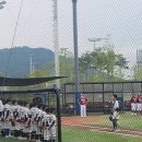 배나물야구장 이미지