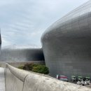 세종예술기획 | DDP 바스키아 전시회 후기, 거리 예술이 미술관으로