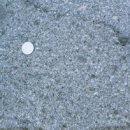 여수청사 건너(2청사건너) 이미지